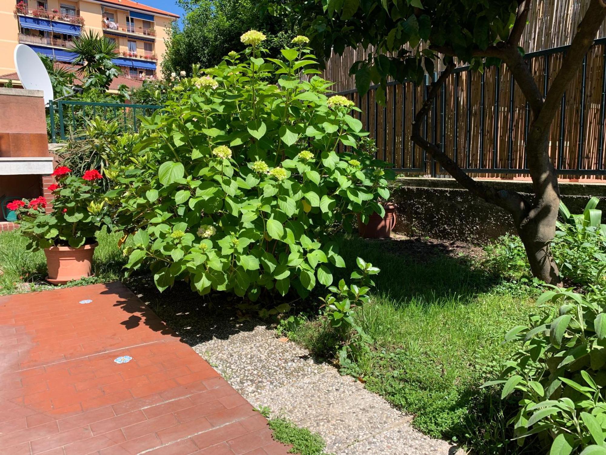 Ferienwohnung Il Giardino Dei Limoni Chiavari Exterior foto